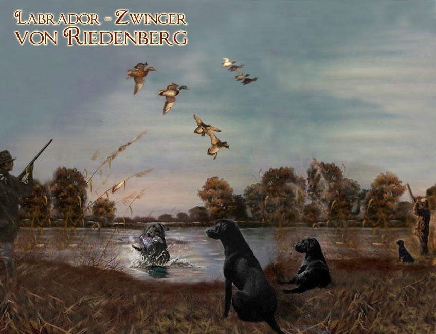 von Riedenberg cover art