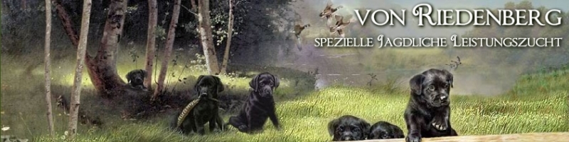 von Riedenberg banner 2