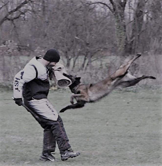 Timo Barth